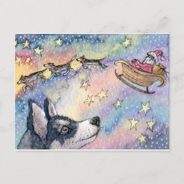 Husky Sleigh Dogs Postkarte (Vorderseite)
