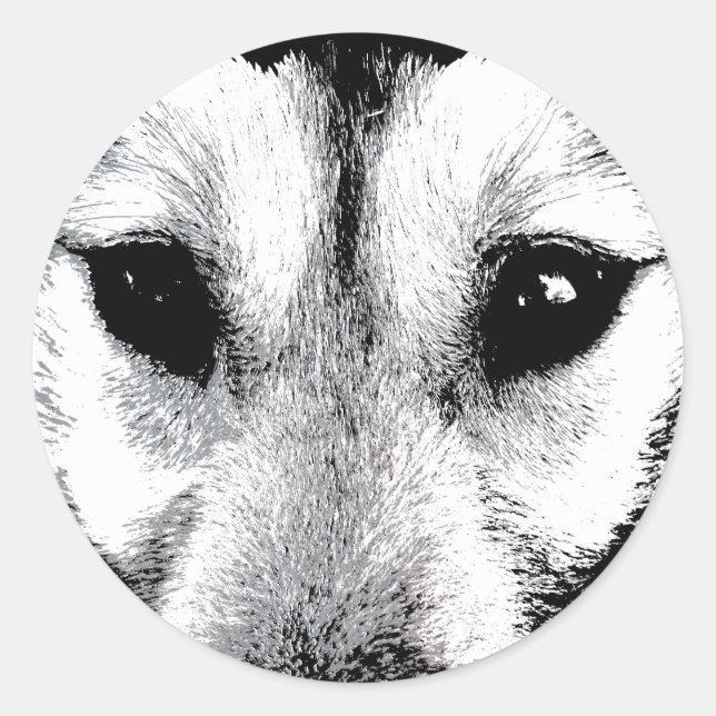 Husky Stickers Siberian Husky Wolf Aufkleber (Vorderseite)