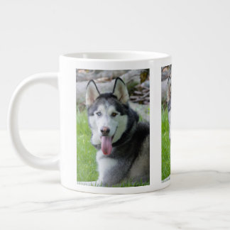 Husky-Tasse Jumbo-Tasse
