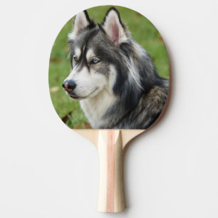 Husky Tischtennis Schläger