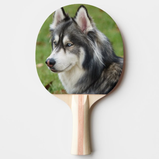 Husky Tischtennis Schläger (Vorderseite)