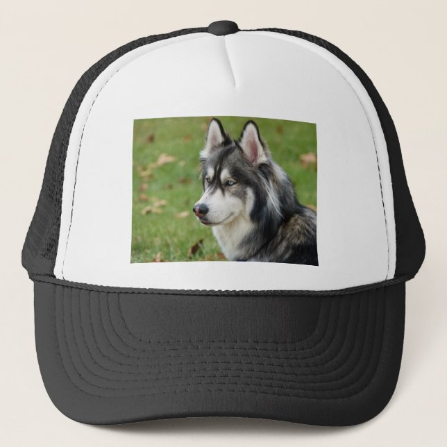 Husky Truckerkappe (Vorderseite)
