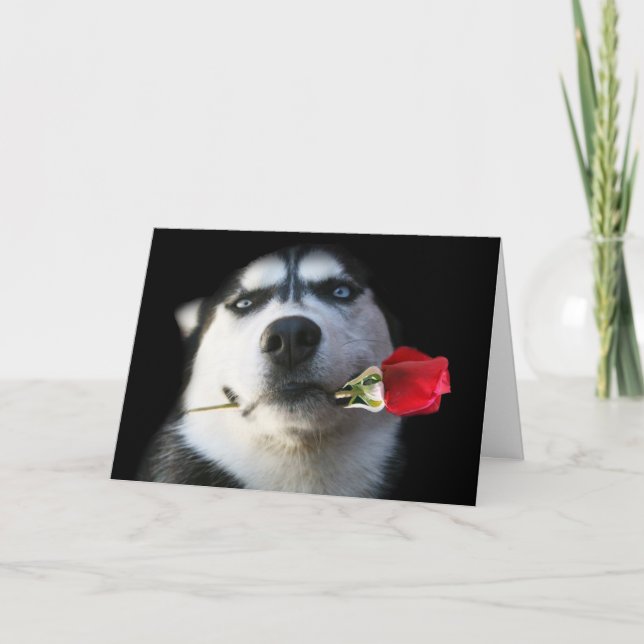 Husky-Valentinstag-Karte Feiertagskarte (Vorderseite)