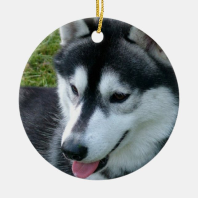 Husky-Verzierung Keramik Ornament (Vorne)