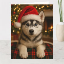 Husky-Weihnachtskarte