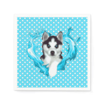 Husky Welpe blau Herz Punkte