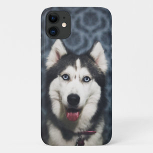 Husky Welpe Pop mit dunklem Background Case-Mate iPhone Hülle