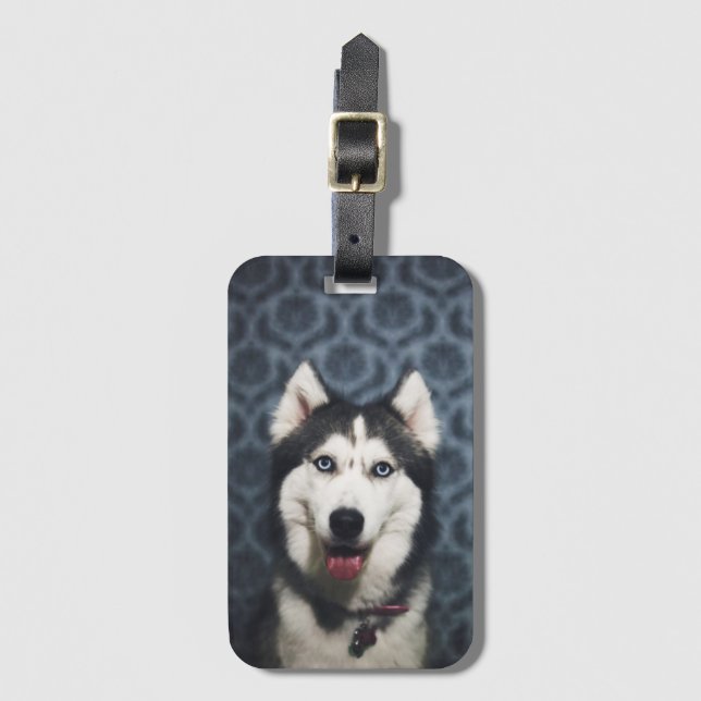 Husky Welpe Pop mit dunklem Background Gepäckanhänger (Vorderseite Vertikal)