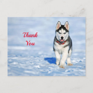 Husky-Welpe-Schnee-Foto-Danke Postkarte