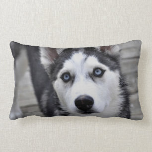 Husky-Welpen-Kissen Lendenkissen