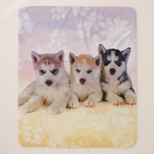 Husky-Welpen Sherpadecke