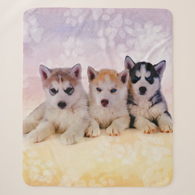 Husky-Welpen Sherpadecke (Vorderseite)