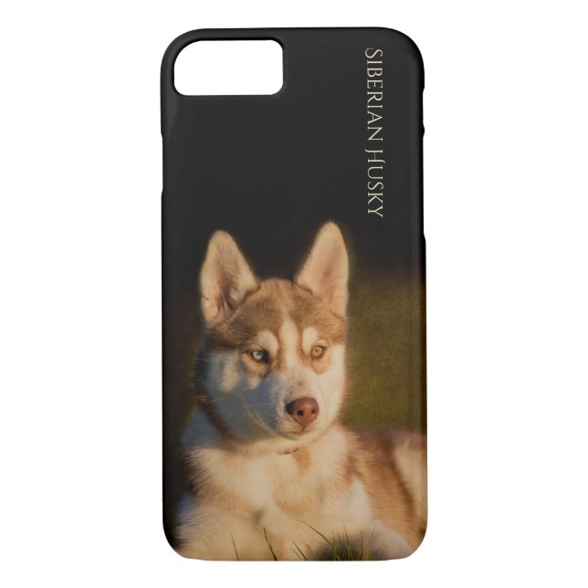 Husky-Welpen-Telefon-Kasten Case-Mate iPhone Hülle (Rückseite)