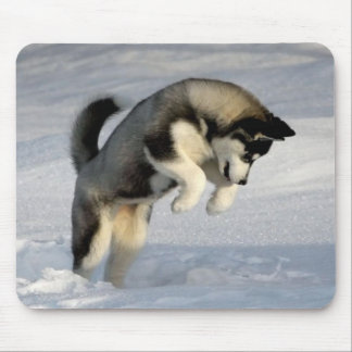 Huskywelpe, der im Schnee spielt Mousepad