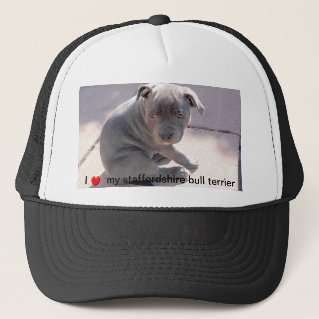 Hut für alle Staffordshire-Bullterrierliebhaber Truckerkappe (Vorderseite)