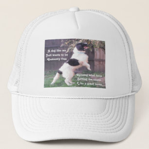 Hut Hund Pferd Gedicht von Ladee Basset Truckerkappe