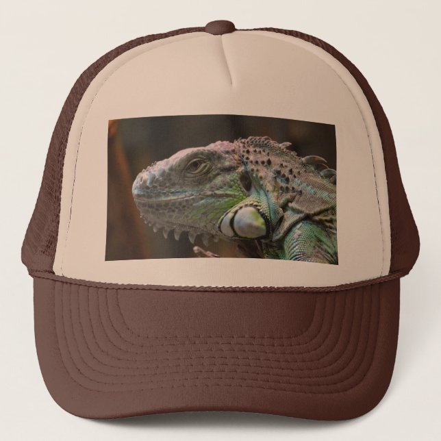 Hut mit Kopf der farbigen Iguana-Eidechse Truckerkappe (Vorderseite)