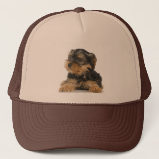 Hut Yorkshires Terrier Truckerkappe