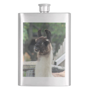 Hüte dich vor dem Lama! Flachmann
