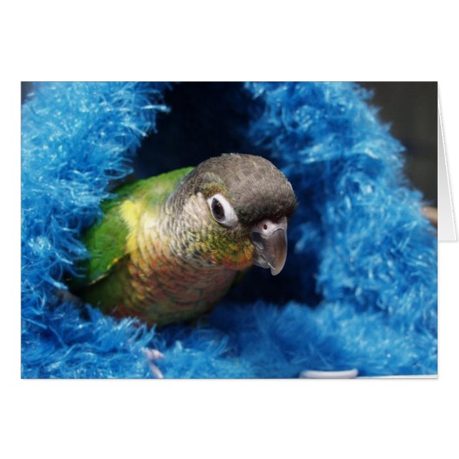 Hütte (Vorderseite (Horizontal))