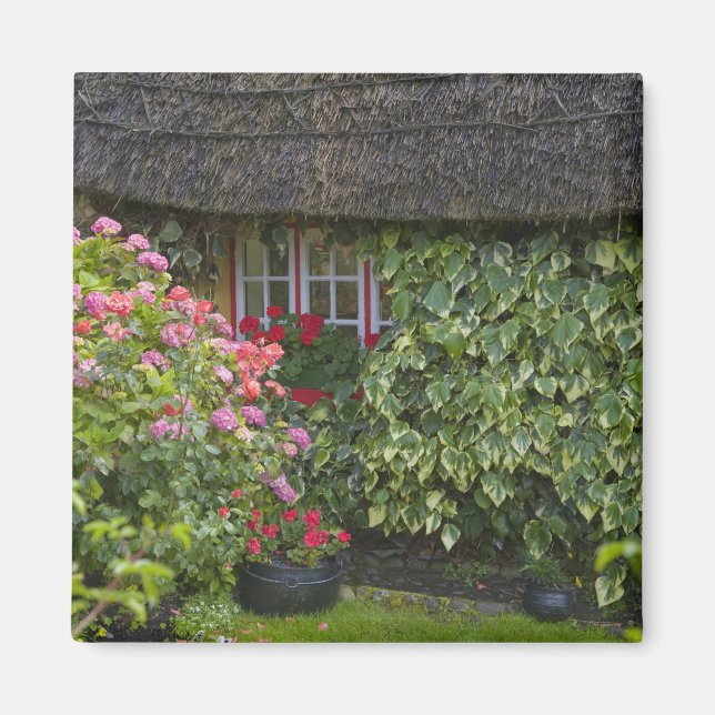 Hütte, Adare, Landkreis Limerick, Magnet (Vorne)