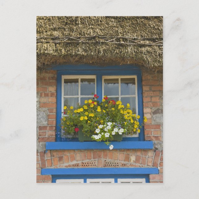 Hütte, Adare, Landkreis Limerick, Postkarte (Vorderseite)