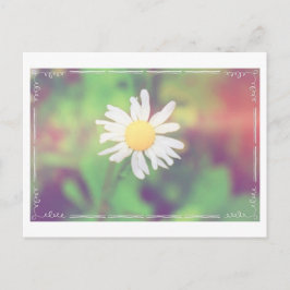 Hütte Daisy Postcross Postcard Postkarte