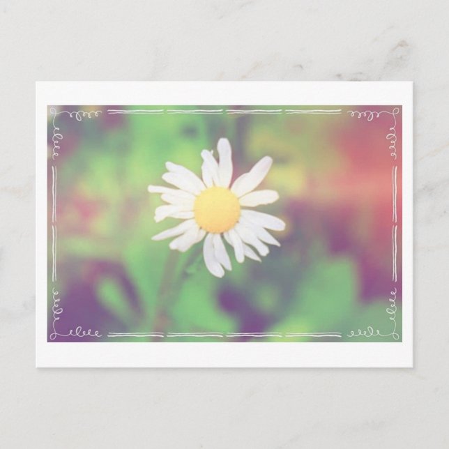 Hütte Daisy Postcross Postcard Postkarte (Vorderseite)