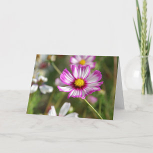 Hütte Garten, Rosalinde Karte