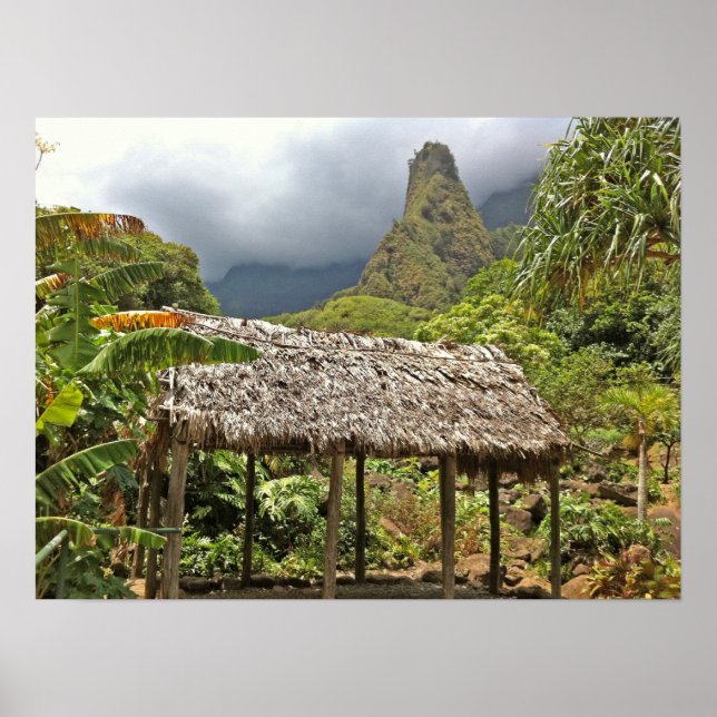 Hütte im Iao Valley Staat Park, Maui, Hawaii Poster (Vorne)