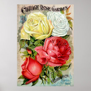 Hütte Rose Gartenwerbung Poster