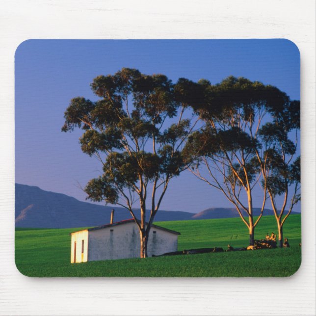 Hütte- und Weizenfelder der Landarbeiter, Overberg Mousepad (Vorne)