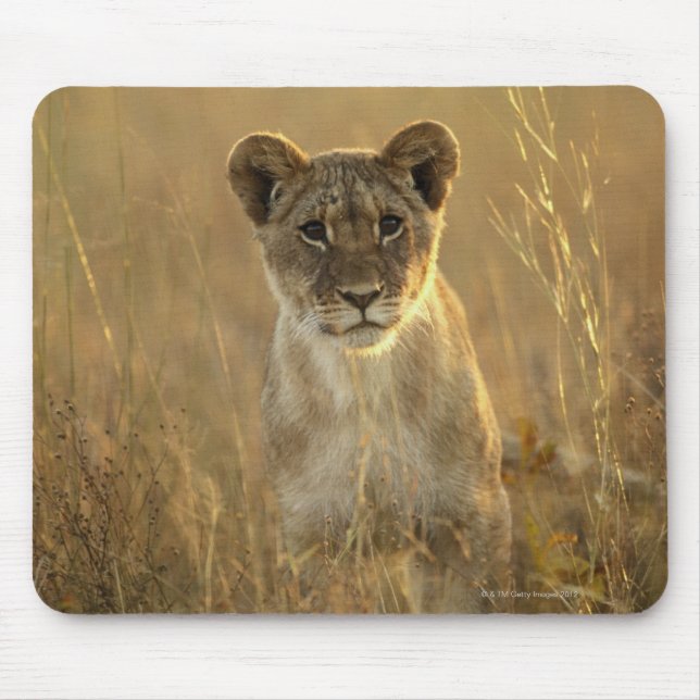 Hwange National Park, Simbabwe. Mousepad (Vorne)