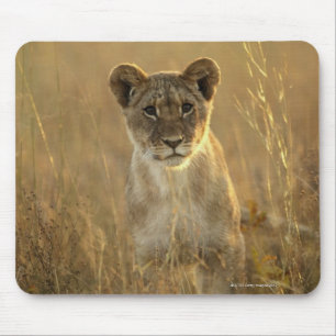 Hwange Nationalpark, Simbabwe Mousepad