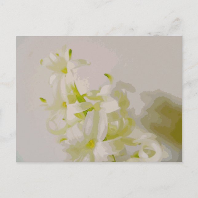 Hy Leinwand Postkarte (Vorderseite)