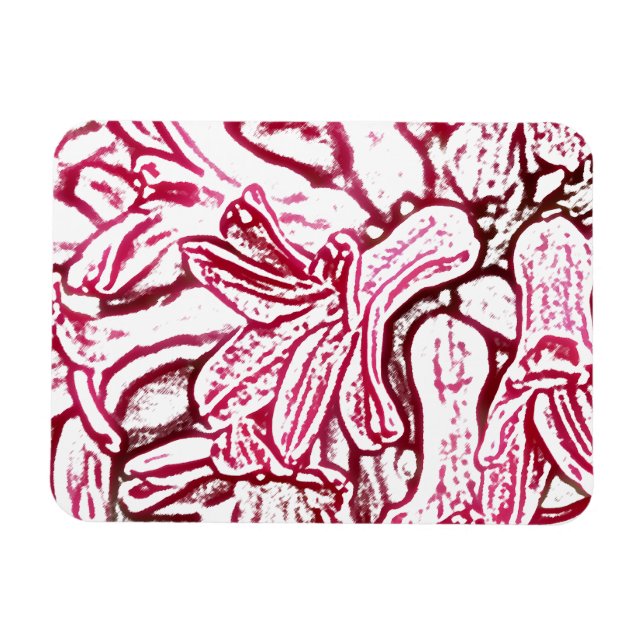 Hyacinth bearbeitet magnet (Horizontal)