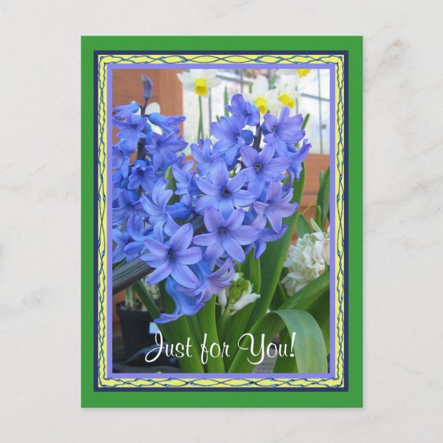 Hyacinth Blau Postkarte (Vorderseite)