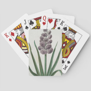 Hyacinth Blume (von Johann Michael Seligmann) Spielkarten