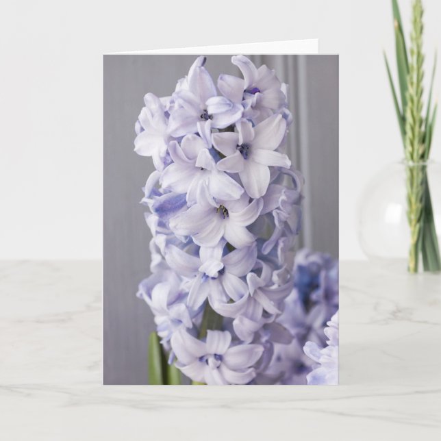 Hyacinth Card Feiertagskarte (Vorderseite)