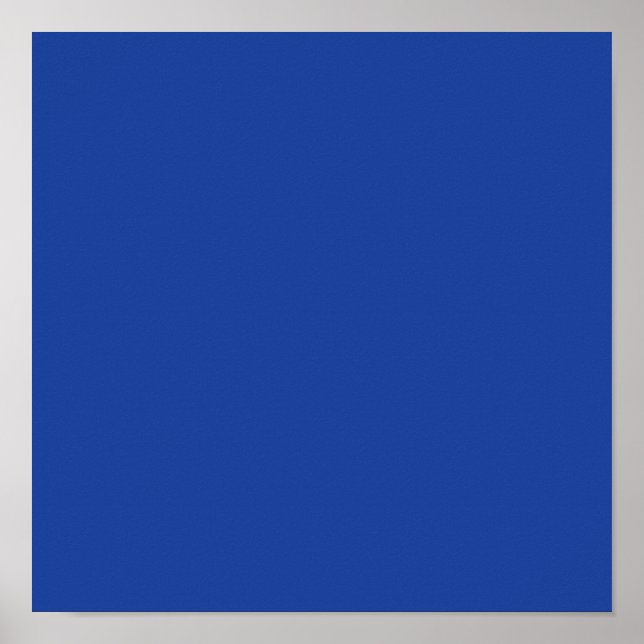Hyacinth Macaw Blue Poster (Vorne)