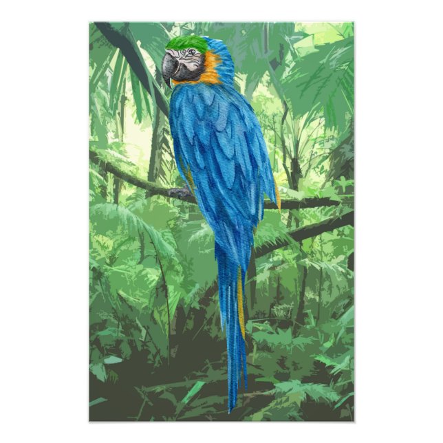 Hyacinth Macaw Design Foto Erweiterung (Vorne)