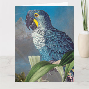 Hyacinth Macaw Parrot Bird Happy Birthday Big Card Karte
