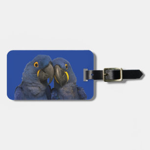 Hyacinth Macaw Parrot Bird Rare Blue Gepäckanhänger