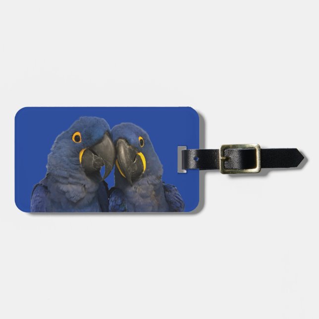 Hyacinth Macaw Parrot Bird Rare Blue Gepäckanhänger (Vorderseite horizontal)
