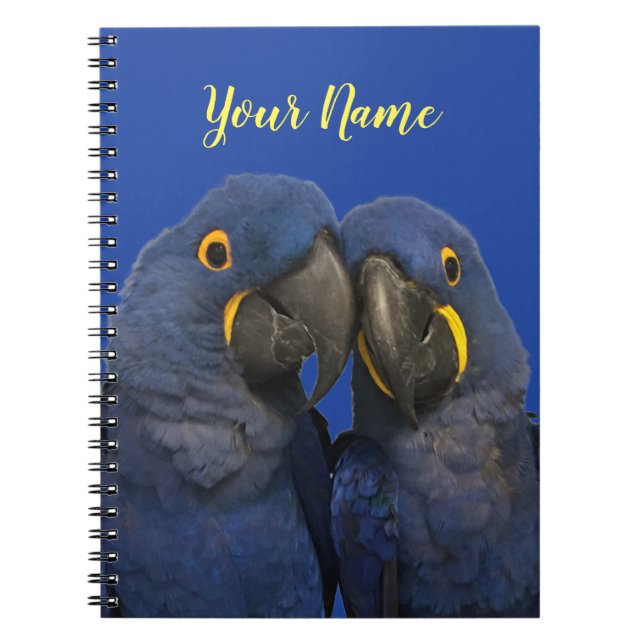 Hyacinth Macaw Parrot Bird Rare Blue Notizblock (Vorderseite)