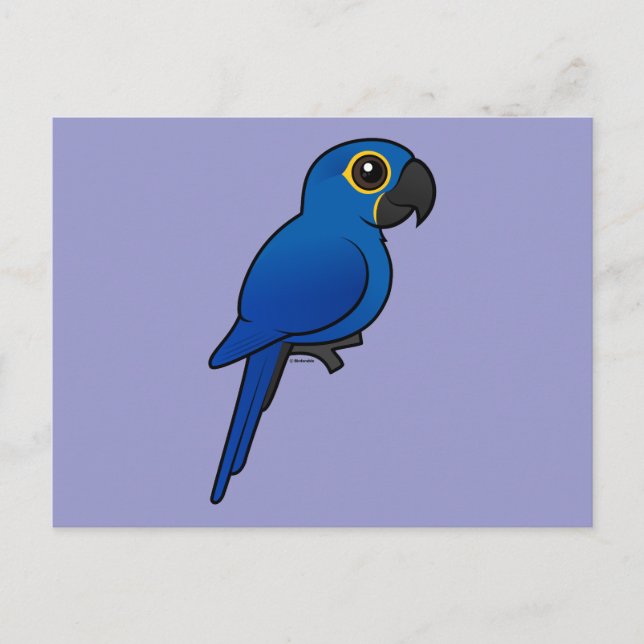 Hyacinth Macaw Postkarte (Vorderseite)