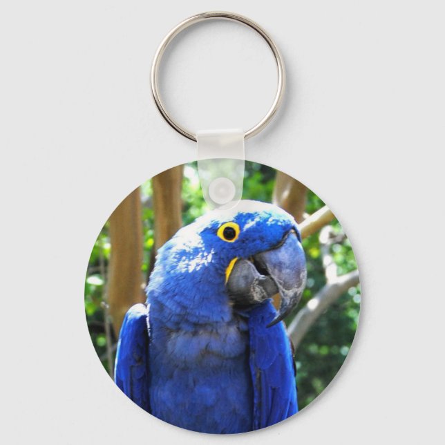 Hyacinth Macaw Schlüsselanhänger (Vorderseite)