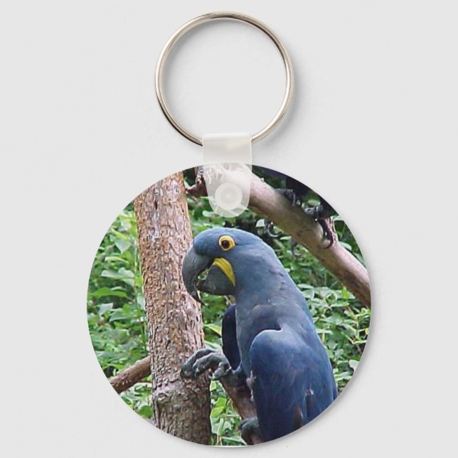 Hyacinth Macaw Schlüsselanhänger (Vorderseite)