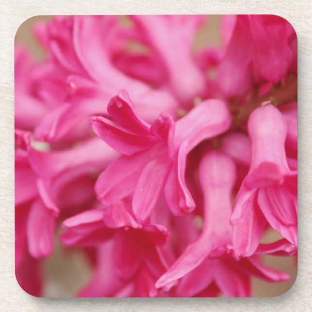 Hyacinth Pink Getränkeuntersetzer (Vorderseite)