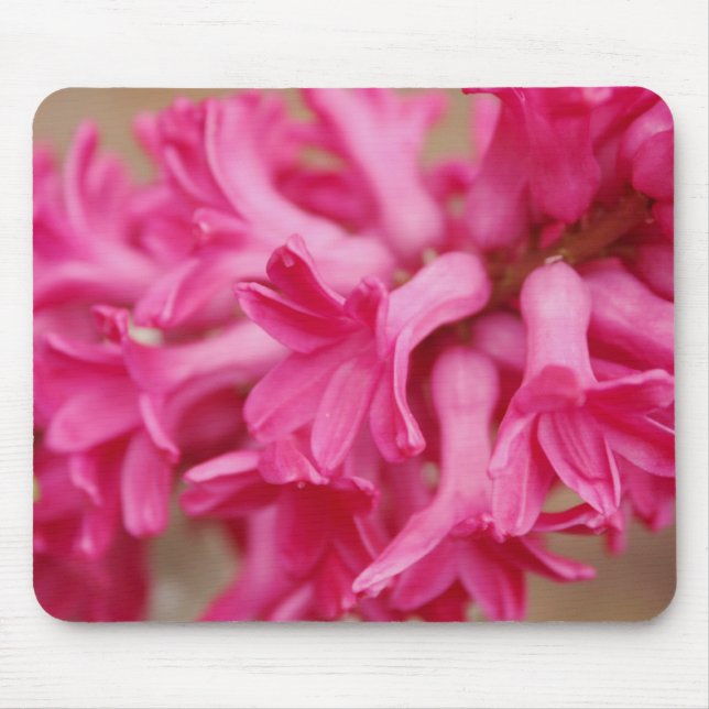 Hyacinth Pink Mousepad (Vorne)